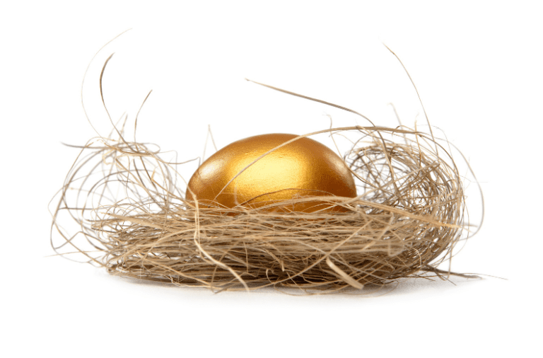 retirement nest egg