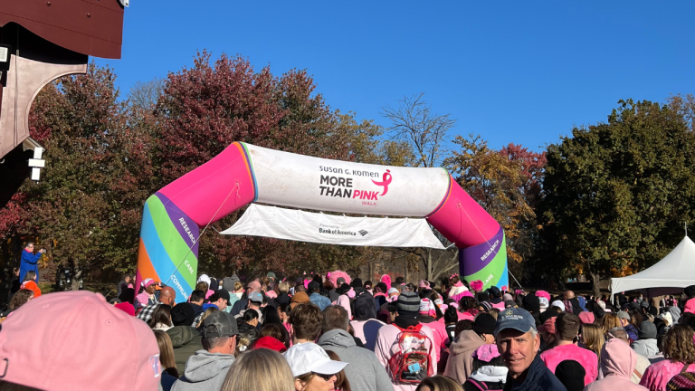 Susan G Komen Walk