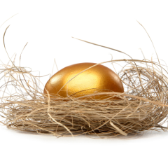 retirement nest egg
