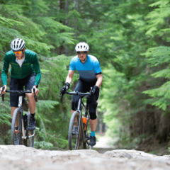 bicycle riders bicycle riders